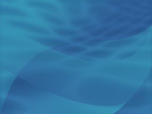 神经网络最佳实践：提升效率的实用技巧